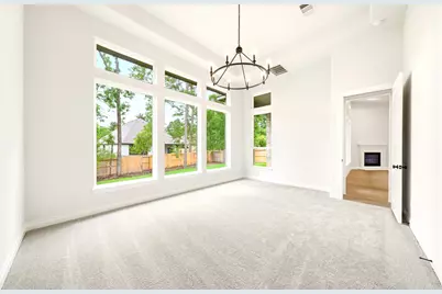 334 Calmato Woods Way, Willis, TX 77318 - Photo 30
