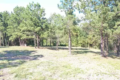 Tbd S Fm 356 W, Onalaska, TX 77360 - Photo 22