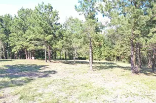 Tbd S Fm 356 W, Onalaska, TX 77360 - Photo 22