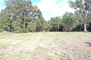 Tbd S Fm 356 W, Onalaska, TX 77360 - Photo 16