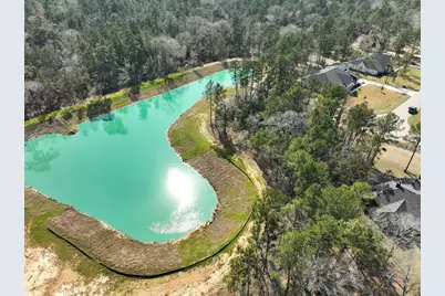 26601 Buchanan Court, Magnolia, TX 77355 - Photo 6