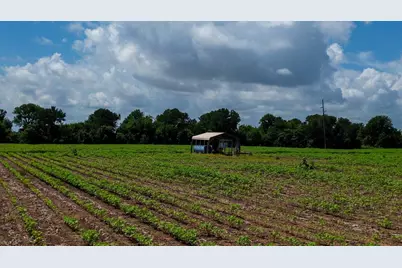 000 Sims Lane Lane, Bryan, TX 77801 - Photo 6