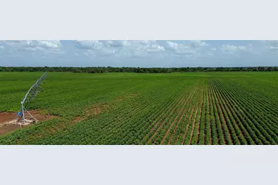 000 Sims Lane Lane, Bryan, TX 77801 - Photo 2