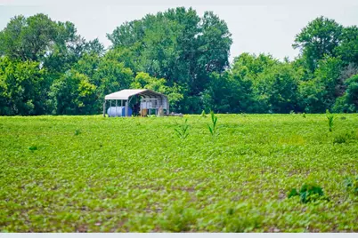 000 Sims Lane Lane, Bryan, TX 77801 - Photo 10