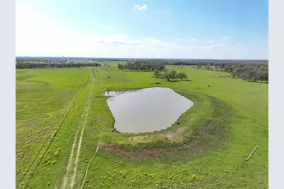 11581 County Road 419, Navasota, TX 77868 - Photo 22