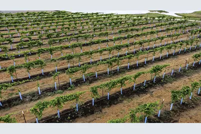 14931 Shavers Drive, Willis, TX 77318 - Photo 16