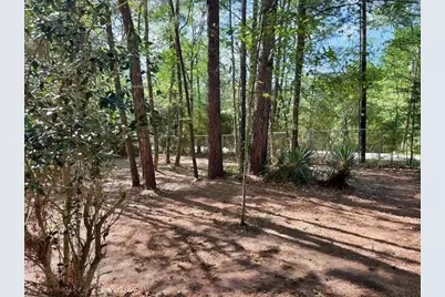 123 Sea Gull Drive, Livingston, TX 77351 - Photo 8