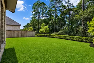 147 Harlequin Duck Ct, Magnolia, TX 77354 - Photo 6