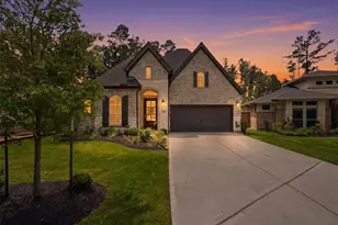 112 Pineview Cove Ct, Montgomery, TX 77316 - Photo 1