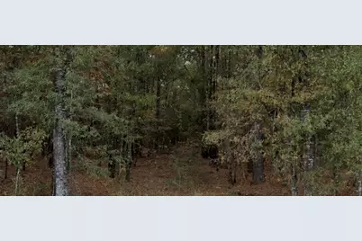 0 San Pedro, Livingston, TX 77351 - Photo 6