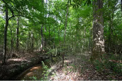 Tbd County Road 2150, Woodville, TX 75979 - Photo 14
