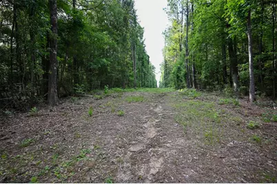 Tbd County Road 2150, Woodville, TX 75979 - Photo 16