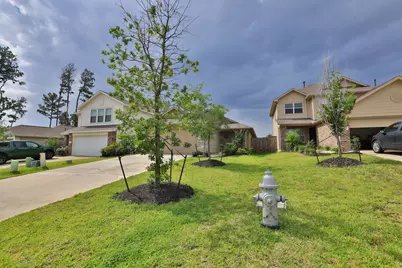3019 Twisted Myrtle Drive, Conroe, TX 77301 - Photo 32