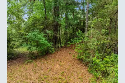 15255 Abc Rogers Road, Willis, TX 77378 - Photo 8