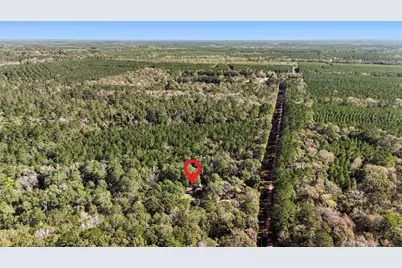 595 Andrew Jackson Drive, Livingston, TX 77351 - Photo 28