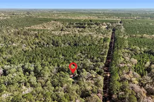 595 Andrew Jackson Dr, Livingston, TX 77351 - Photo 28