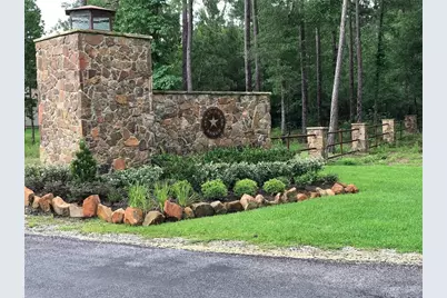 0 Sandpiper Drive Drive, New Waverly, TX 77358 - Photo 2