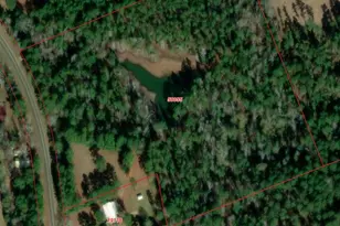 14055 FM357, Groveton, TX 75845 - Photo 10
