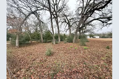 Tbd Wannabe Road, Bryan, TX 77808 - Photo 20