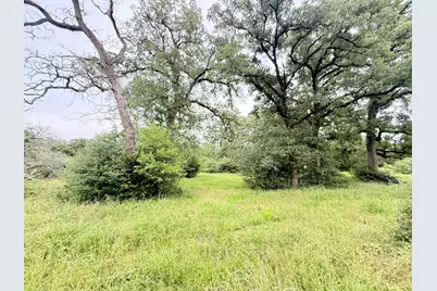 Tbd Wannabe Road, Bryan, TX 77808 - Photo 30