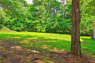 81 E Bishop Rd, Point Blank, TX 77364 - Photo 4