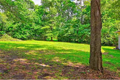 81 E Bishop Road, Point Blank, TX 77364 - Photo 4