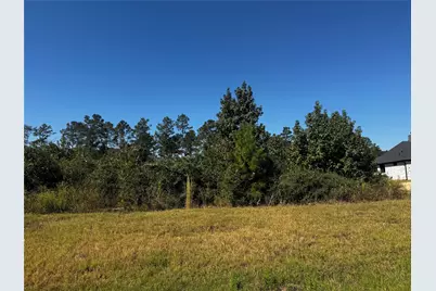15279 Rubicon Road, Willis, TX 77378 - Photo 4