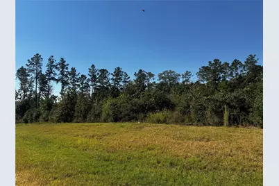 15279 Rubicon Road, Willis, TX 77378 - Photo 1