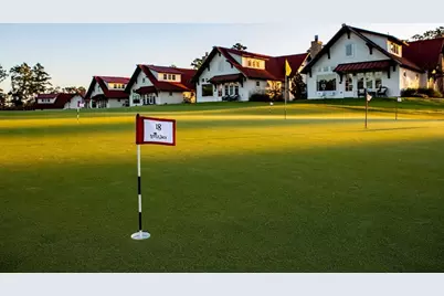 Tbd6 Lily Bean Road, Montgomery, TX 77316 - Photo 30