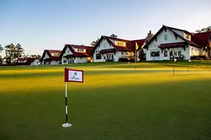 Tbd6 Lily Bean Rd, Montgomery, TX 77316 - Photo 30