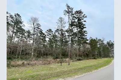 Tbd6 Lily Bean Road, Montgomery, TX 77316 - Photo 1