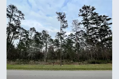 Tbd6 Lily Bean Road, Montgomery, TX 77316 - Photo 4