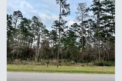 Tbd6 Lily Bean Road, Montgomery, TX 77316 - Photo 2
