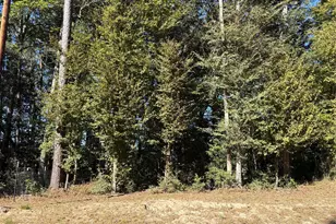 0000 L C Herschap Ln, Livingston, TX 77351 - Photo 1