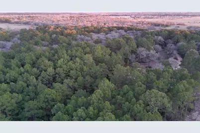 0000 Evergreen Lot 1 Fm 362 Road, Waller, TX 77484 - Photo 20