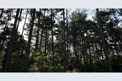 0000 Evergreen Lot 1 Fm 362 Road, Waller, TX 77484 - Photo 18