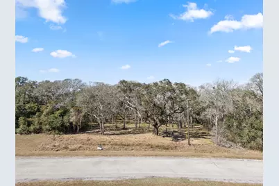 11 River Hollow Way, Blessing, TX 77419 - Photo 2
