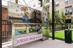 3788 Richmond Ave., Houston, TX 77046 - Photo 18