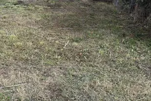 7001 S Hall St, Houston, TX 77028 - Photo 2