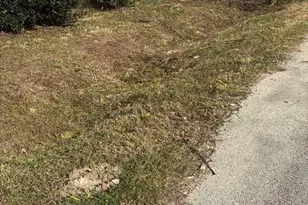 7001 S Hall St, Houston, TX 77028 - Photo 4