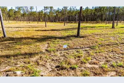 Lot 19 Big Buck Drive, Moscow, TX 75960 - Photo 8
