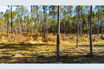 Lot 19 Big Buck Drive, Moscow, TX 75960 - Photo 6