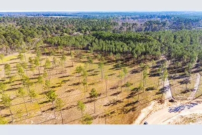 Lot 19 Big Buck Drive, Moscow, TX 75960 - Photo 4