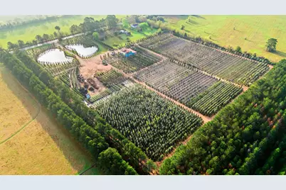 28287 Hegar Road, Hockley, TX 77447 - Photo 6