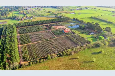 28287 Hegar Road, Hockley, TX 77447 - Photo 12