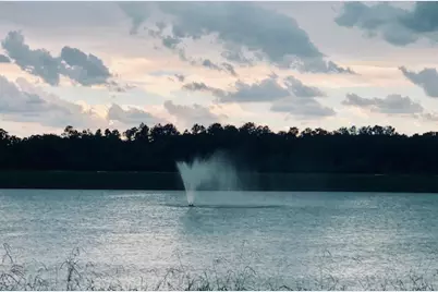 20718 Tealpointe Ridge Lane, Tomball, TX 77377 - Photo 4