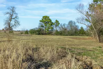 6622 County Road 360, Buffalo, TX 75831 - Photo 40