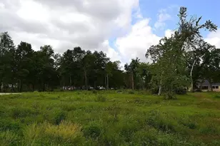 4602 Cottonwood Run, Alvin, TX 77511 - Photo 1