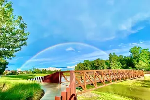 110 West Coralburst Loop, Montgomery, TX 77316 - Photo 6