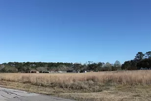 8531 Avenue H, Liverpool, TX 77577 - Photo 1